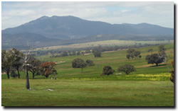 Photo: Mt Langi Ghiran