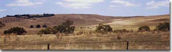 PHOTO: Merino Tablelands