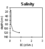 Photo: Salinity in PVI 4