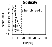 Photo: Sodicity in PVI 4