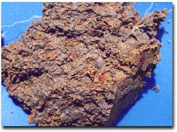 Photo: SFS 15 Subsoil Mottling