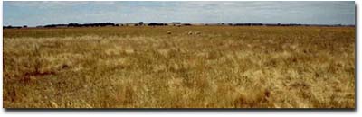 Photo: Soil Pit PVI 10 Landscape