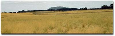 Photo: Soil Pit PVI 11 Landscape