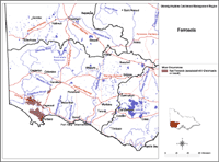 Ferrosols