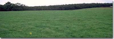 PHOTO: Landscape of soil site SW11