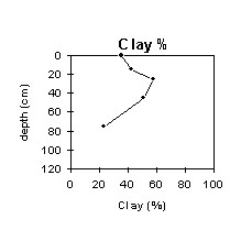 Image: SW 16 Clay