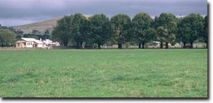 Image: SW 16 Landscape