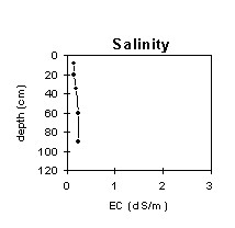 Image: SW 16 Salinity