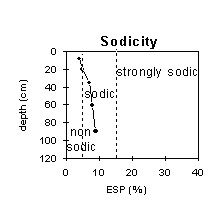 Image: SW 16 Sodicity