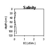 Image: SW 17 Salinity