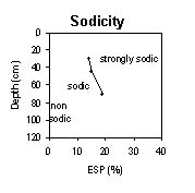 Image: SW 17 Sodicity