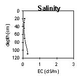 Image: SW 17a Salinity