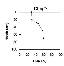 Image: SW 18a Clay