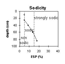 Image: SW 18a Sodicity