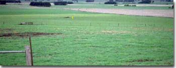 PHOTO: Landscape of site SW1