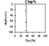Image:  SW20 Clay