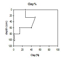 SW2 clay