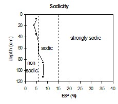 SW2 sodicity