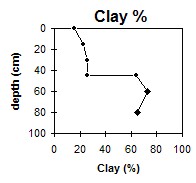 SW43 Clay