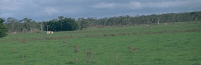 SW43 Landscape