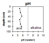 SW43 pH