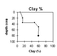 Image:  SW44 Clay