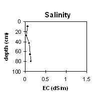 Image:  SW44 Salinity