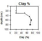 SW47 Clay