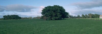 SW47 Landscape