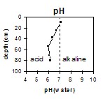 SW47 pH