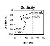 SW47 Sodicity
