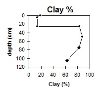 SW48 clay