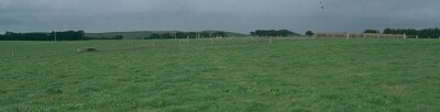 SW48 Landscape