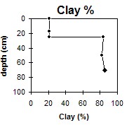 SW49 Clay
