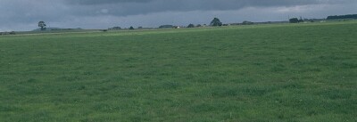 SW49 Landscape
