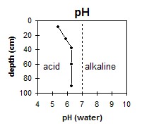SW49 pH