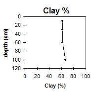 SW50 Clay