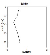 SW6b salinity