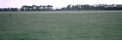 SW7 Landscape