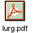 lurg.pdf
