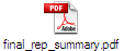 final_rep_summary.pdf
