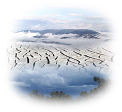 Photo: Goulburn Broken Climate Montage