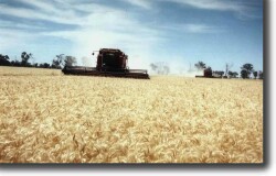 Photo:colbinabbin_harvest