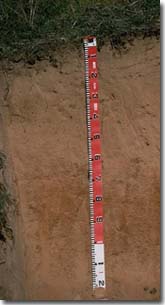 Goulburn Broken Tenosols Granite