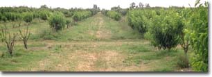Photo: Landscape