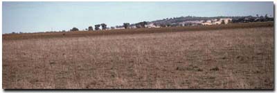 Graph: Site GN13 Landscape
