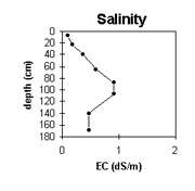 Image: Gn21 Salinity