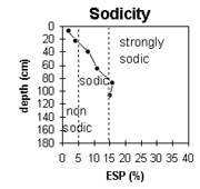 Image: Gn21 Sodicity
