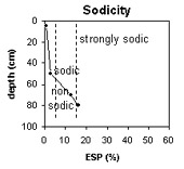Graph: Site GN8 Sodicity