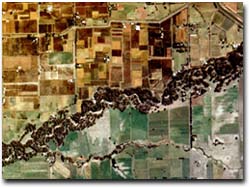 Photo: Landuse near Shepparton